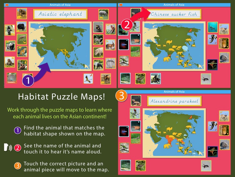 Animals of Asia - Montessori Geography For Kids