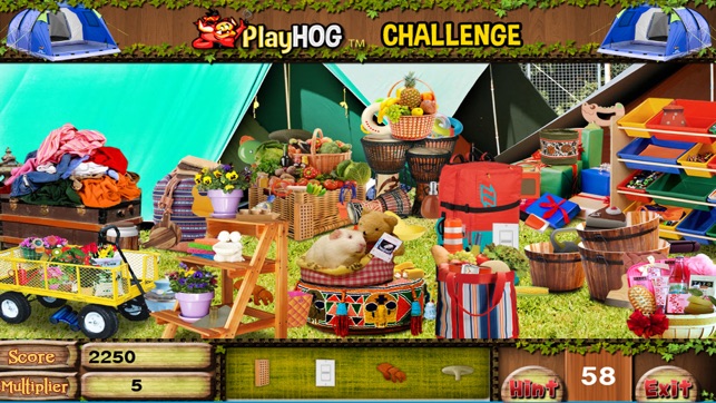 Camp Out Hidden Objects Games