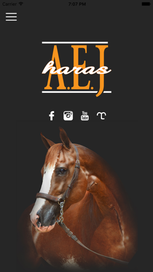 Haras AEJ(圖1)-速報App