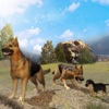 Wild Dog Simulator 2016