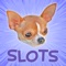 AWWW, you won't believe the cuteness and the non-stop, winning action you get from the cutest slots game on the App store