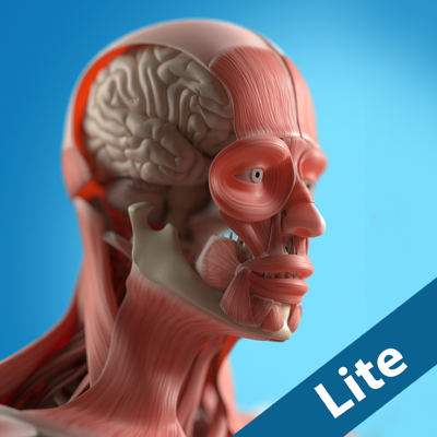 Anatomy Game Anatomicus Lite
