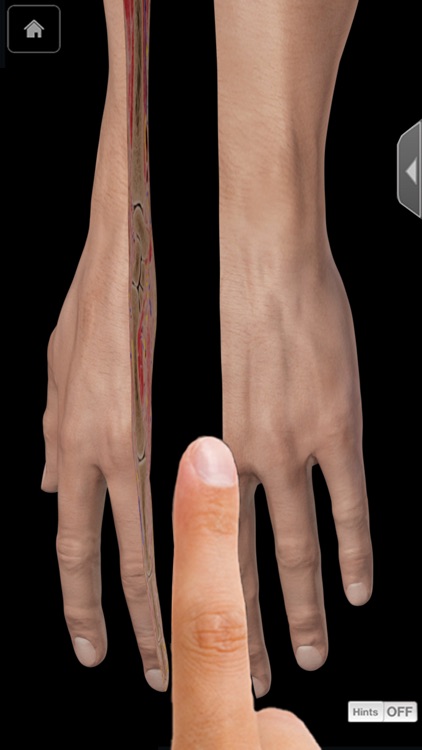 Hand & Wrist Pro III