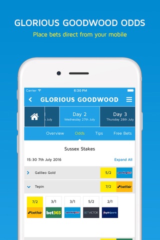 Easyodds on Glorious Goodwood screenshot 2