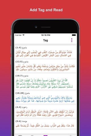 New Arabic Bible - náhled