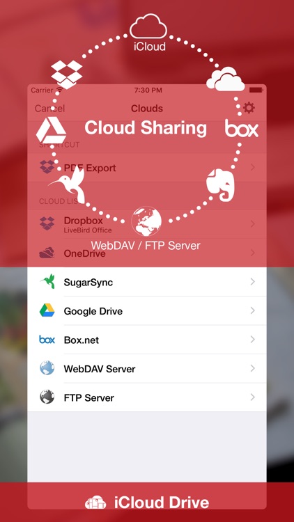 PDF Export screenshot-4
