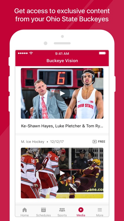 Ohio State Buckeyes screenshot-3
