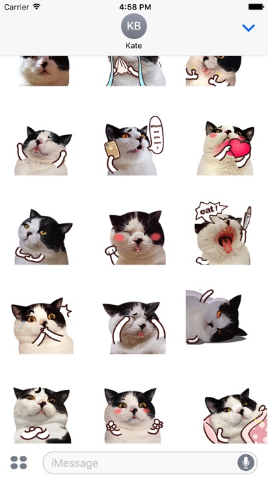 Catty Animated Stickers screenshot 2