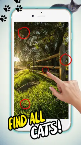 Game screenshot Найди Кота На Фотографии apk