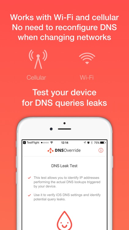 DNS Override