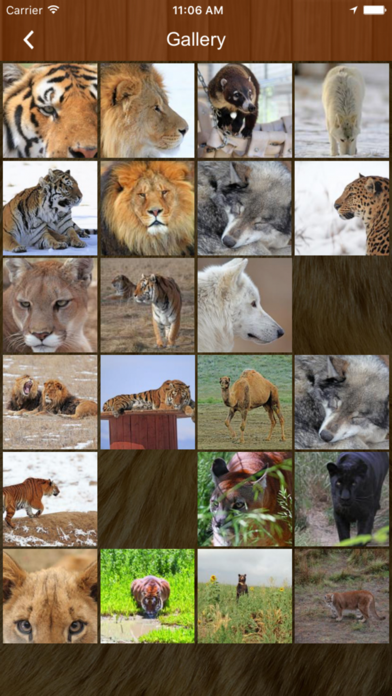 The Wild Animal Sanctuary screenshot 3