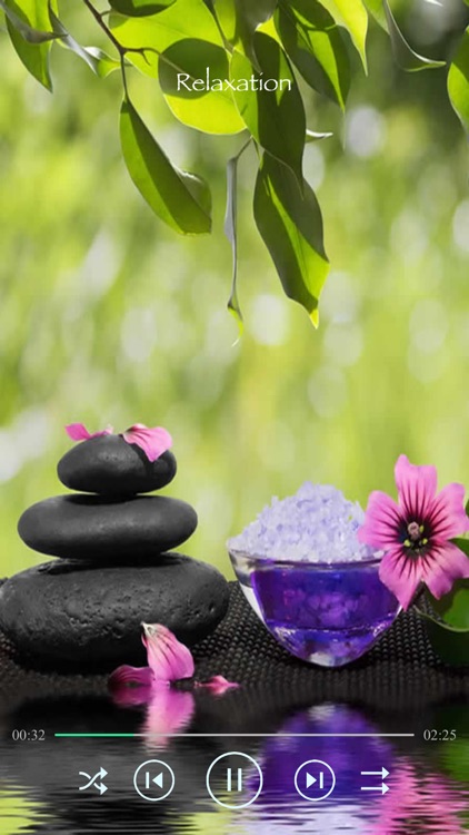 Relaxing Sleep Music screenshot-4
