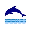 Navy Dolphin