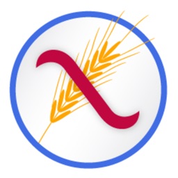 מדריך מזון ללא גלוטן