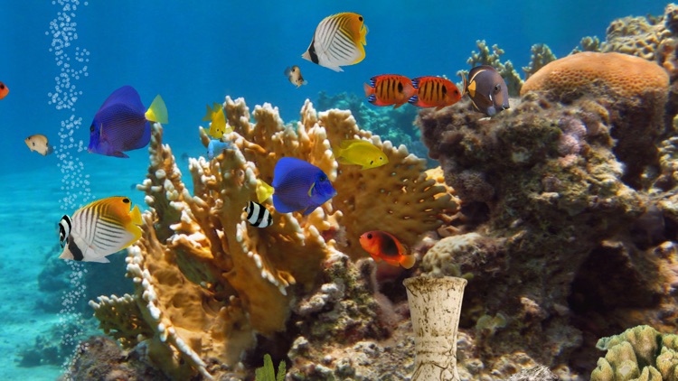 MyReef 3D Aquarium 2 Lite