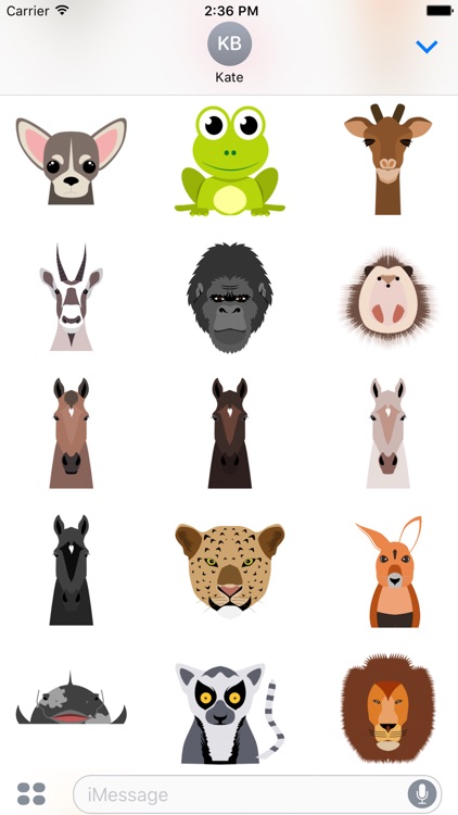 Animals Around The Globe