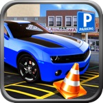 Dr. Car Parking Simulator™