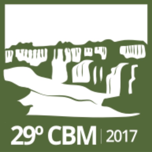 29º CBM