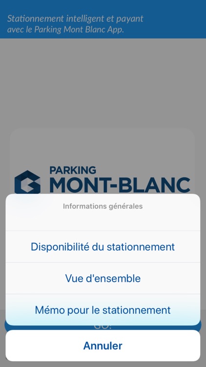 Parking Mont-Blanc screenshot-5