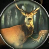 Deer Hunt: Real Life Hunting Simulator 2017