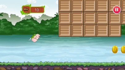 Super Piggy Jet screenshot 2
