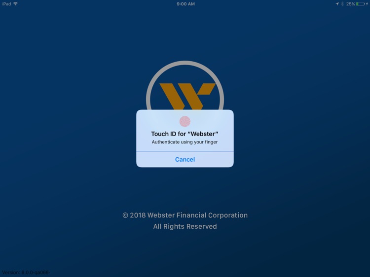 Webster Bank Mobile for iPad screenshot-5