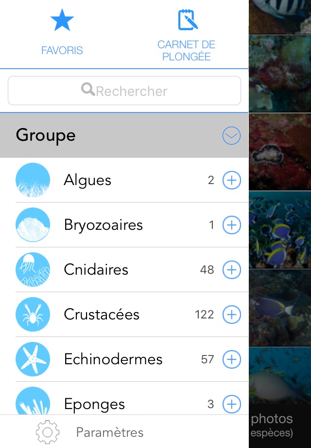 WhatFish, Identification Guide screenshot 2