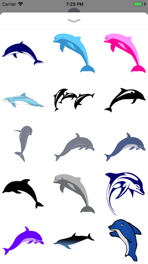 Dolphin Stickers - 2018