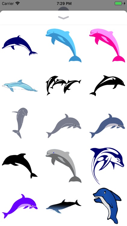 Dolphin Stickers - 2018