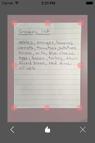 Paper Shopping List + screenshot 2