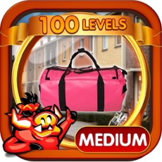 Activities of Trip To Holland Hidden Objects