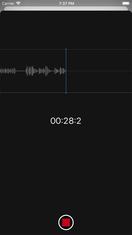 Transcriber Ltd