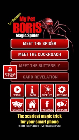 Magic Spider - My Pet Boris