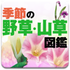 季節の野草・山草図鑑
