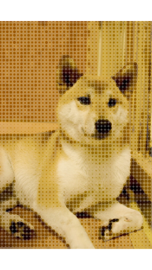 Camera 4 HalfTone(圖3)-速報App