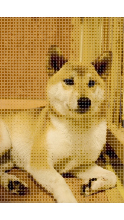 Camera 4 HalfTone