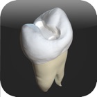 Top 27 Medical Apps Like CavSim :  Dental Cavity Preps - Best Alternatives