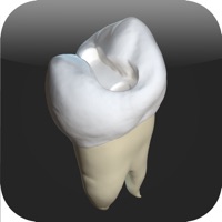 CavSim :  Dental Cavity Preps apk