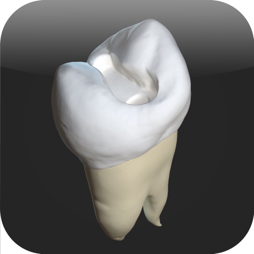 CavSim :  Dental Cavity Preps