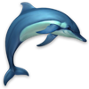 Dolphins 3D