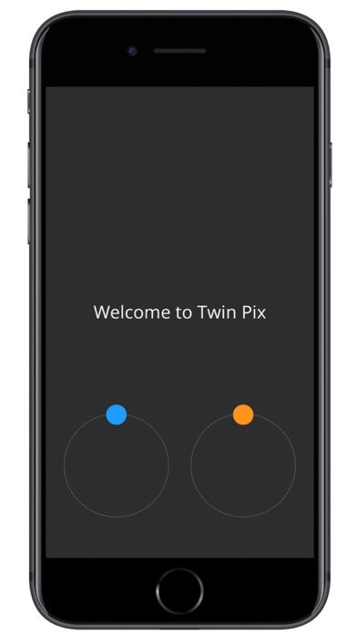 Twin Pix screenshot 2