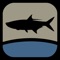 Welcome to Fish the Gulf