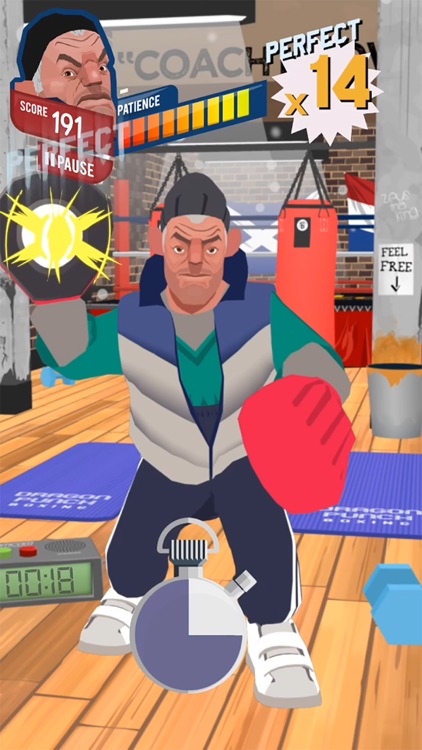 Punch Perfect: Boxing Training screenshot-0