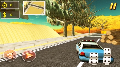 Taxi Crazy Police Sim 2017 screenshot 4