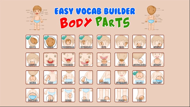 Body Parts Vocabulary Game