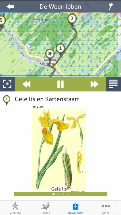 Natuur in Nederland screenshot-3