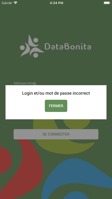 DataBonita screenshot 3
