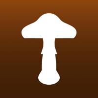 Fungi  PC 용