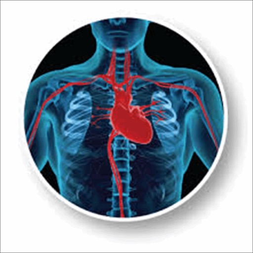 Heart Surgery Guide Icon