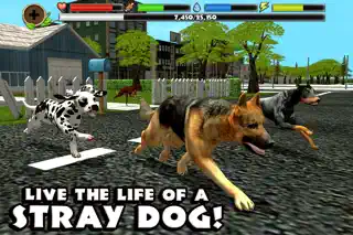 Stray Dog Simulator - Screenshot 1